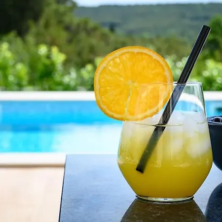 Villa Amazing B4 With Pool&sauna Dubrava (Sibenik-Knin)